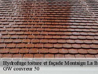 Hydrofuge toiture et façade  montaigu-la-brisette-50700 GW couvreur 50