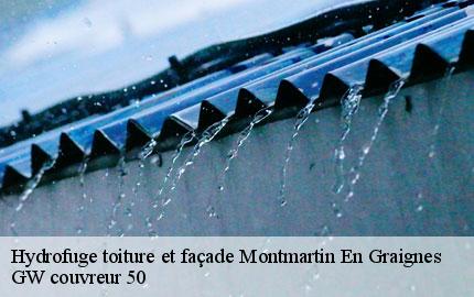 Hydrofuge toiture et façade montmartin-en-graignes-50620 GW couvreur 50
