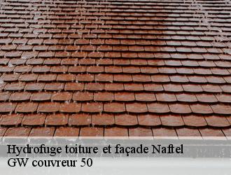 Hydrofuge toiture et façade naftel-50540 GW couvreur 50
