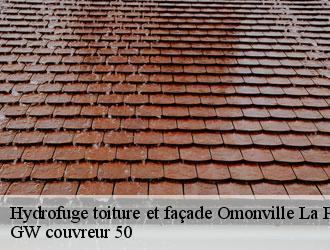 Hydrofuge toiture et façade  omonville-la-petite-50440 GW couvreur 50