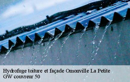 Hydrofuge toiture et façade  omonville-la-petite-50440 GW couvreur 50