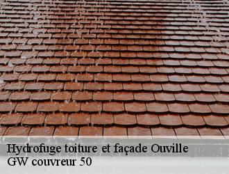 Hydrofuge toiture et façade ouville-50210 GW couvreur 50