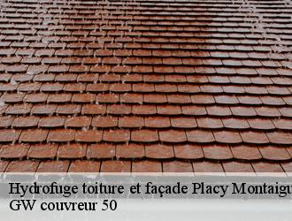 Hydrofuge toiture et façade placy-montaigu-50160 GW couvreur 50