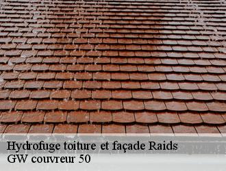 Hydrofuge toiture et façade raids-50500 GW couvreur 50
