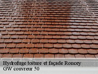 Hydrofuge toiture et façade  roncey-50210 GW couvreur 50