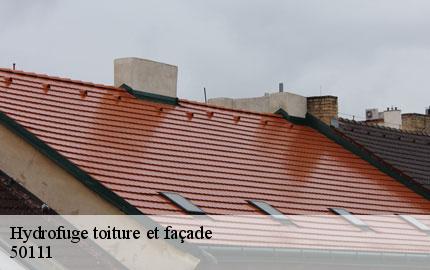 Hydrofuge toiture et façade saint-aubin-de-terregatte-50111 GW couvreur 50