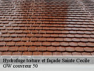 Hydrofuge toiture et façade sainte-cecile-50800 GW couvreur 50