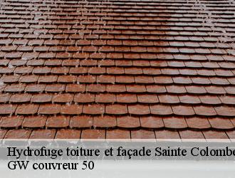 Hydrofuge toiture et façade  sainte-colombe-50390 GW couvreur 50