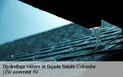 Hydrofuge toiture et façade  sainte-colombe-50390 GW couvreur 50