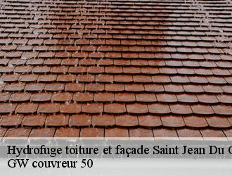 Hydrofuge toiture et façade  saint-jean-du-corail-bois-50370 GW couvreur 50