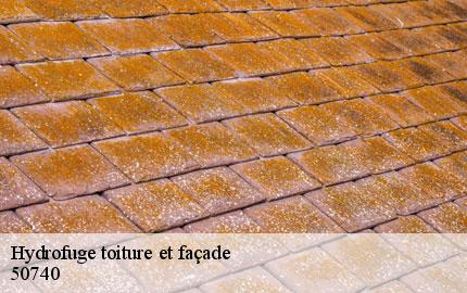 Hydrofuge toiture et façade saint-michel-des-loups-50740 GW couvreur 50