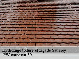 Hydrofuge toiture et façade saussey-50200 GW couvreur 50
