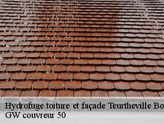 Hydrofuge toiture et façade teurtheville-bocage-50630 GW couvreur 50