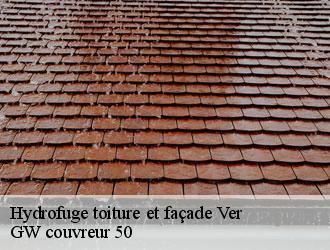 Hydrofuge toiture et façade ver-50450 GW couvreur 50