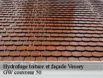 Hydrofuge toiture et façade  vessey-50170 GW couvreur 50