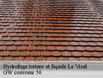 Hydrofuge toiture et façade  le-vicel-50760 GW couvreur 50