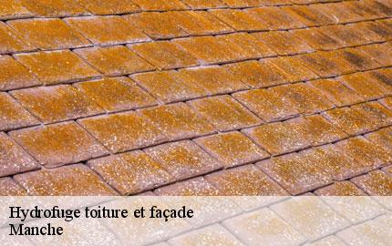 Hydrofuge toiture et façade GW couvreur 50