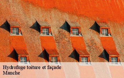 Hydrofuge toiture et façade GW couvreur 50