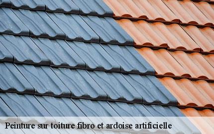 Peinture sur toiture fibro et ardoise artificielle etienville-50360 GW couvreur 50