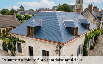 Peinture sur toiture fibro et ardoise artificielle senoville-50270 GW couvreur 50