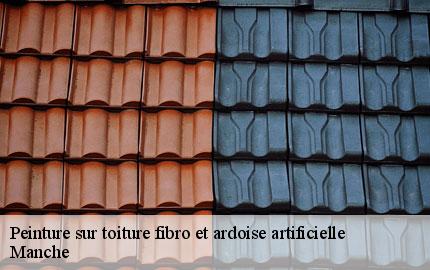 Peinture sur toiture fibro et ardoise artificielle   GW couvreur 50
